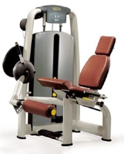 Quadriceps M991