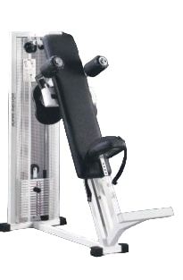 Dorsi M423