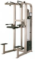 Assisted chin dip PSADCSE Life Fitness