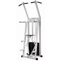 Assisted chin dips GymWorks