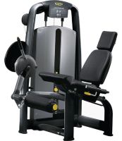 Quadriceps M991 Technogym