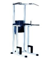 Abdo dips traction C010 Technogym