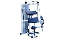 Ischio jambier debout M427 Technogym